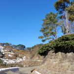 Thumbnail of post image 094