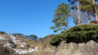 Thumbnail of post image 038
