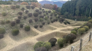 Thumbnail of post image 071