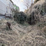 Thumbnail of post image 165