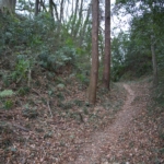 Thumbnail of post image 142