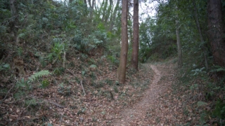Thumbnail of post image 183