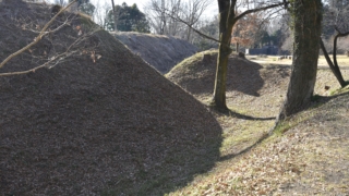 Thumbnail of post image 190