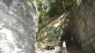 Thumbnail of post image 105