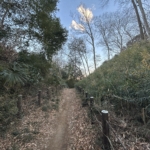 Thumbnail of post image 164