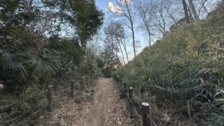 Thumbnail of post image 047