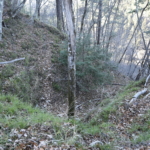 Thumbnail of post image 017