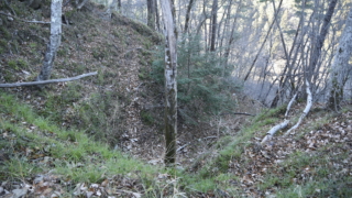 Thumbnail of post image 042