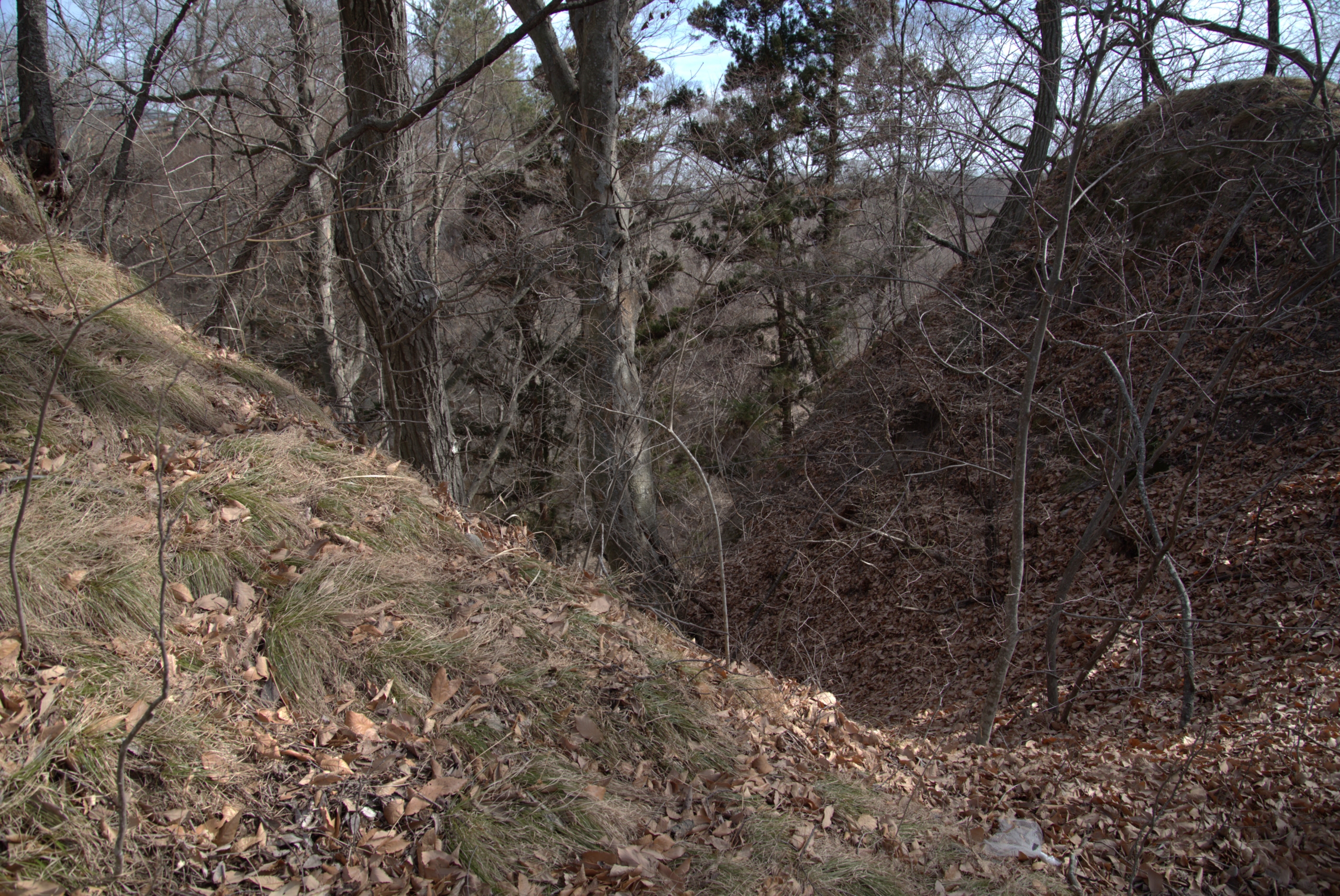 小諸城の大平山堀切