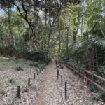 Thumbnail of post image 101