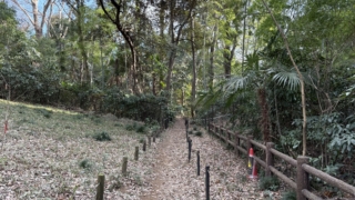 Thumbnail of post image 019