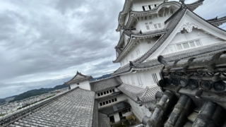 Thumbnail of post image 143