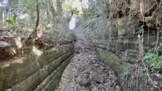 Thumbnail of post image 113