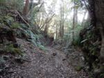 Thumbnail of post image 008