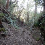 Thumbnail of related posts 065