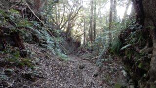 Thumbnail of post image 094