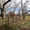 Thumbnail of related posts 054