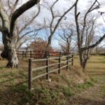 Thumbnail of related posts 063