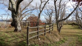 Thumbnail of post image 141