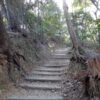 Thumbnail of related posts 039