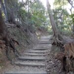 Thumbnail of related posts 109