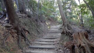 Thumbnail of post image 145