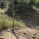 Thumbnail of post image 041