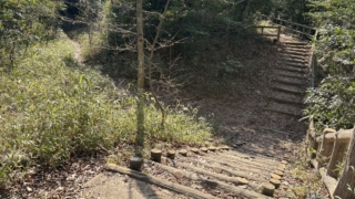 Thumbnail of post image 003