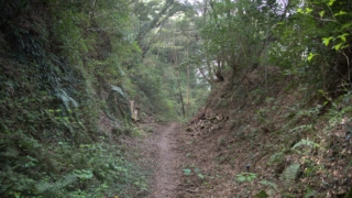 Thumbnail of post image 049
