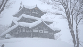 Thumbnail of post image 041