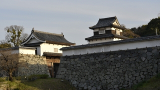 Thumbnail of post image 036