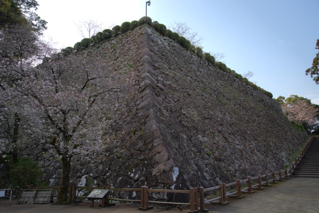 延岡城の石垣 千人殺しの石垣