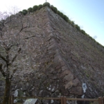 Thumbnail of post image 182