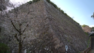 Thumbnail of post image 179