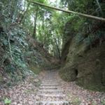 Thumbnail of post image 029