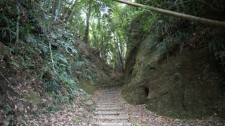 Thumbnail of post image 198