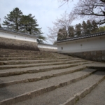 Thumbnail of post image 147