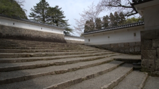 Thumbnail of post image 083