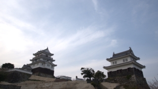 Thumbnail of post image 136