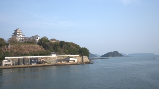 Thumbnail of post image 125