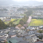 Thumbnail of post image 117