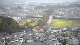 Thumbnail of post image 156