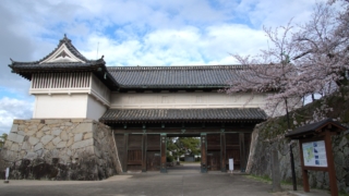 Thumbnail of post image 166