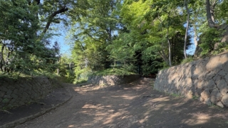 Thumbnail of post image 103