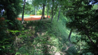 Thumbnail of post image 176