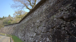 Thumbnail of post image 079