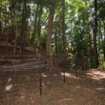 Thumbnail of post image 123