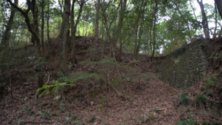 Thumbnail of post image 150