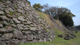 Thumbnail of post image 059