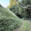 Thumbnail of related posts 107